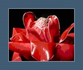 depressant activities of opioids image healthtips images